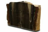 Tall Colorful Petrified Wood Bookends - Circle Cliffs, Utah #338264-2